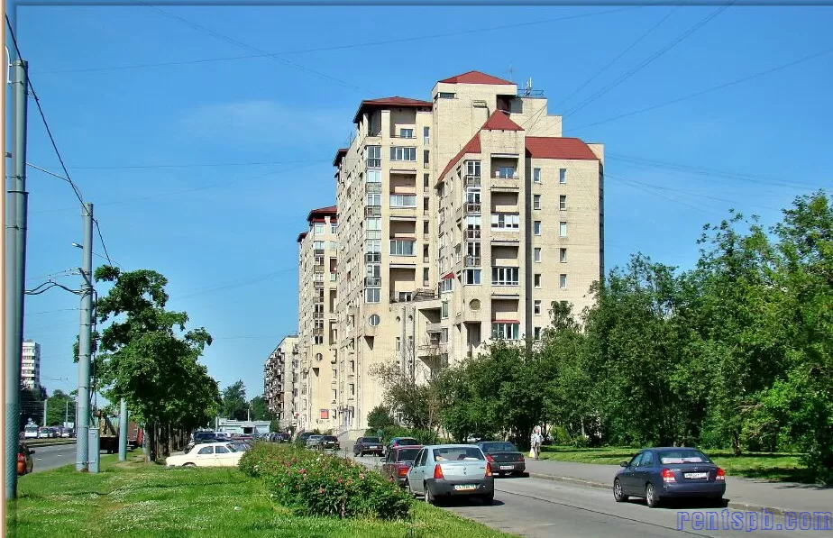 Светлановский пр 115 в аренду в новом доме м. Гражданский просп.