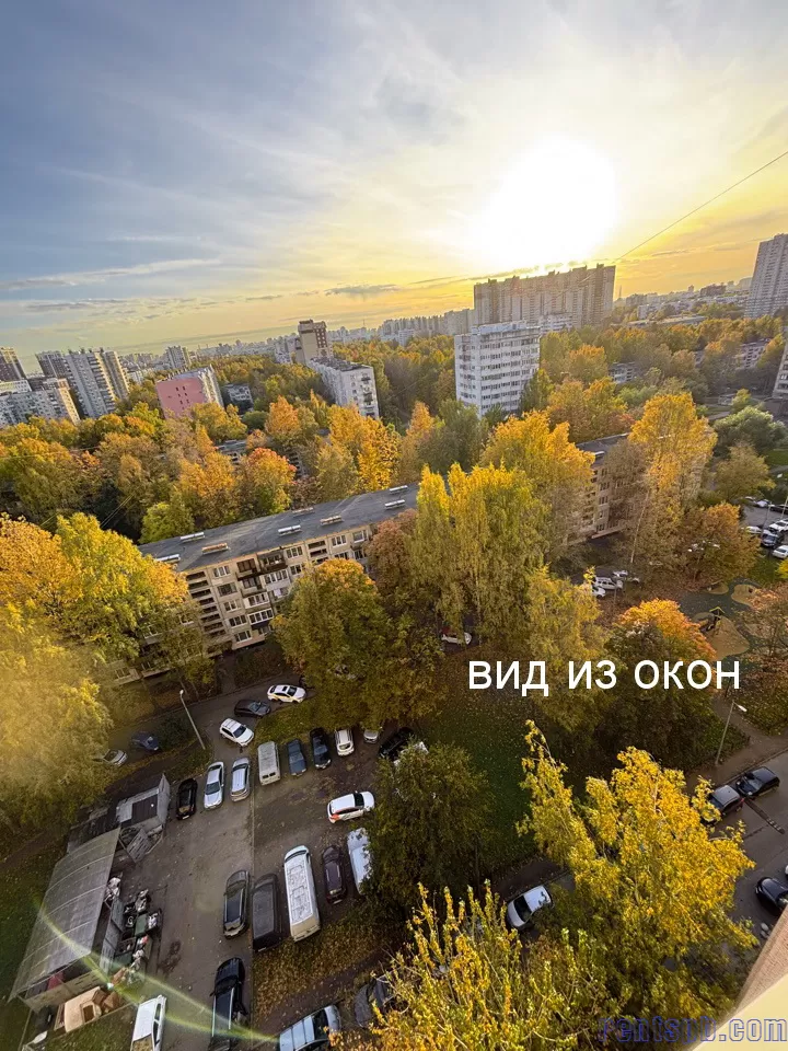 сдам проспект Просвещения, 87к1