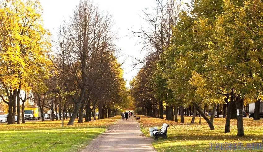 Продажа в Пушкине Алексея Толстого 34