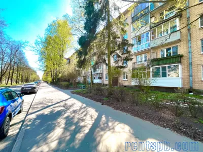 Продажа в Пушкине Алексея Толстого 34